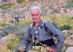 یک کولبر در نوار مرزی نوسود زخمی شد