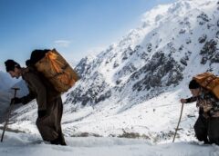 کولبر نیوز: در دو ماه ١٣٨ کولبر در کردستان کشته یا زخمی شدند