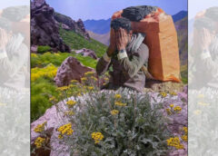 کولبری در مرز، بازی با مرگ برای یک زندگی بخور و نمیر