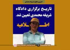 دادگاه شریفه محمدی